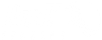 Risk Seguros